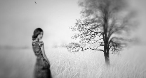 Artwork by Carmelita Iezzi