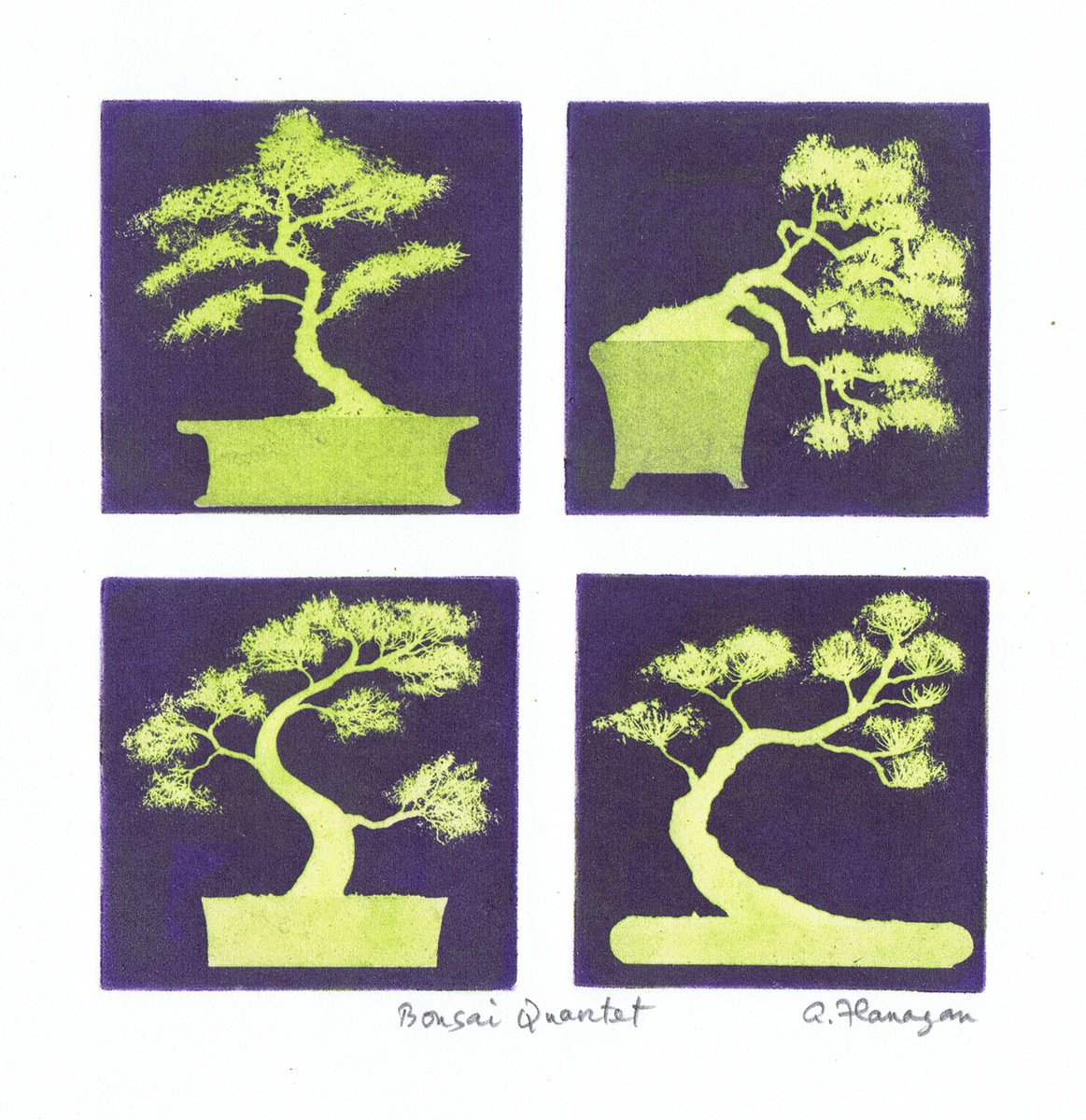 Bonsai Quartet - Violet by Aidan Flanagan Irish Landscapes