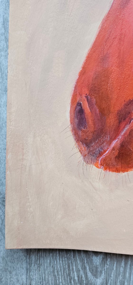 My orange chestnut horse portrait