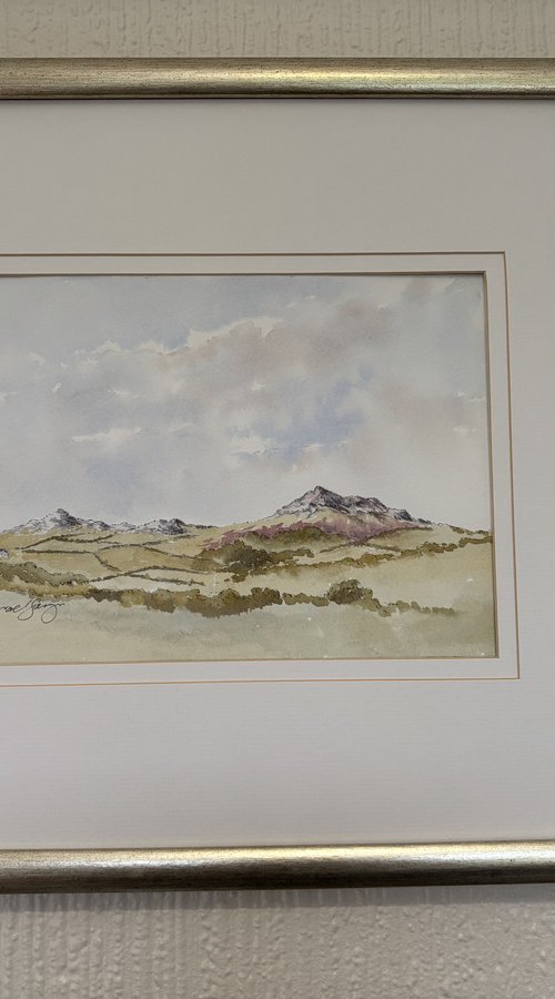 Carn Llidu, Nr St Davids Pembrokeshire by Noel Sawyer