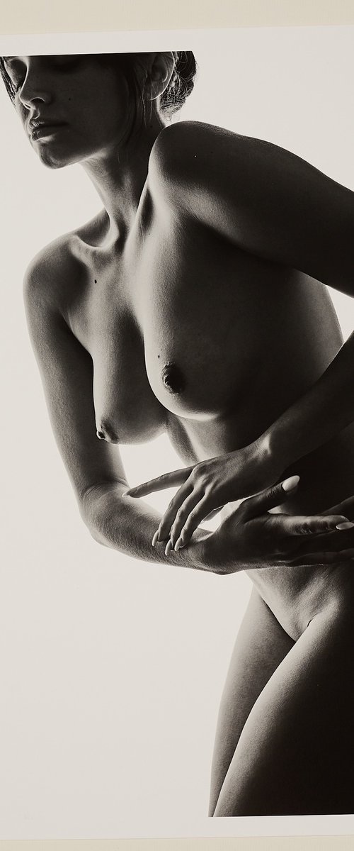 "Silhouetted"(2025) by Spiros Politis