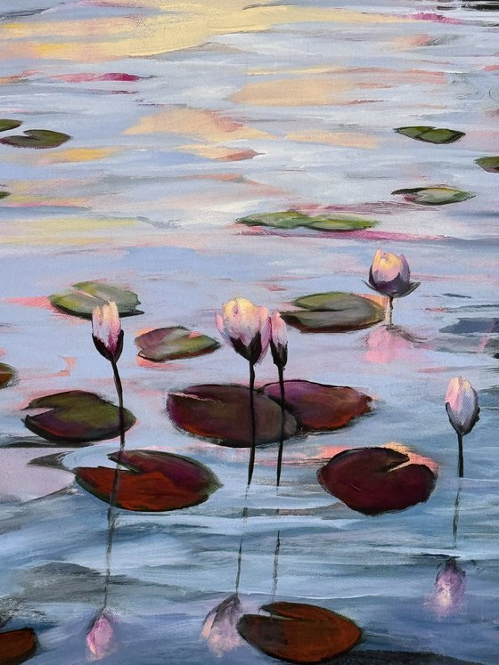 Water Lilies Land 1