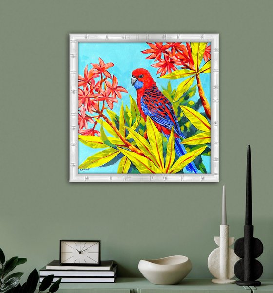 Crimson Rosella