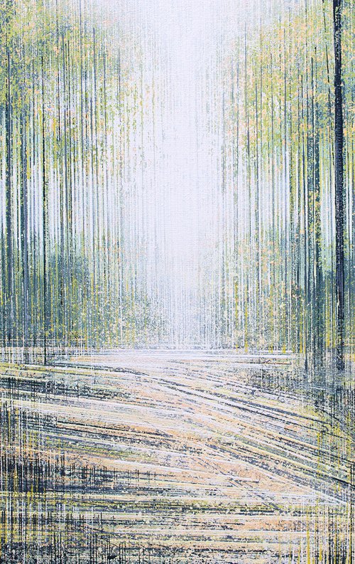 White Light Through Trees by Marc Todd