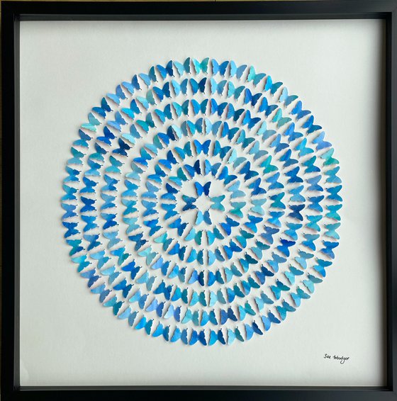 Butterflies - Blue Spiral