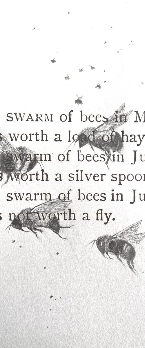 A swarm of Bees in Motion by Teresa Tanner