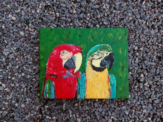 "Macaw couple"