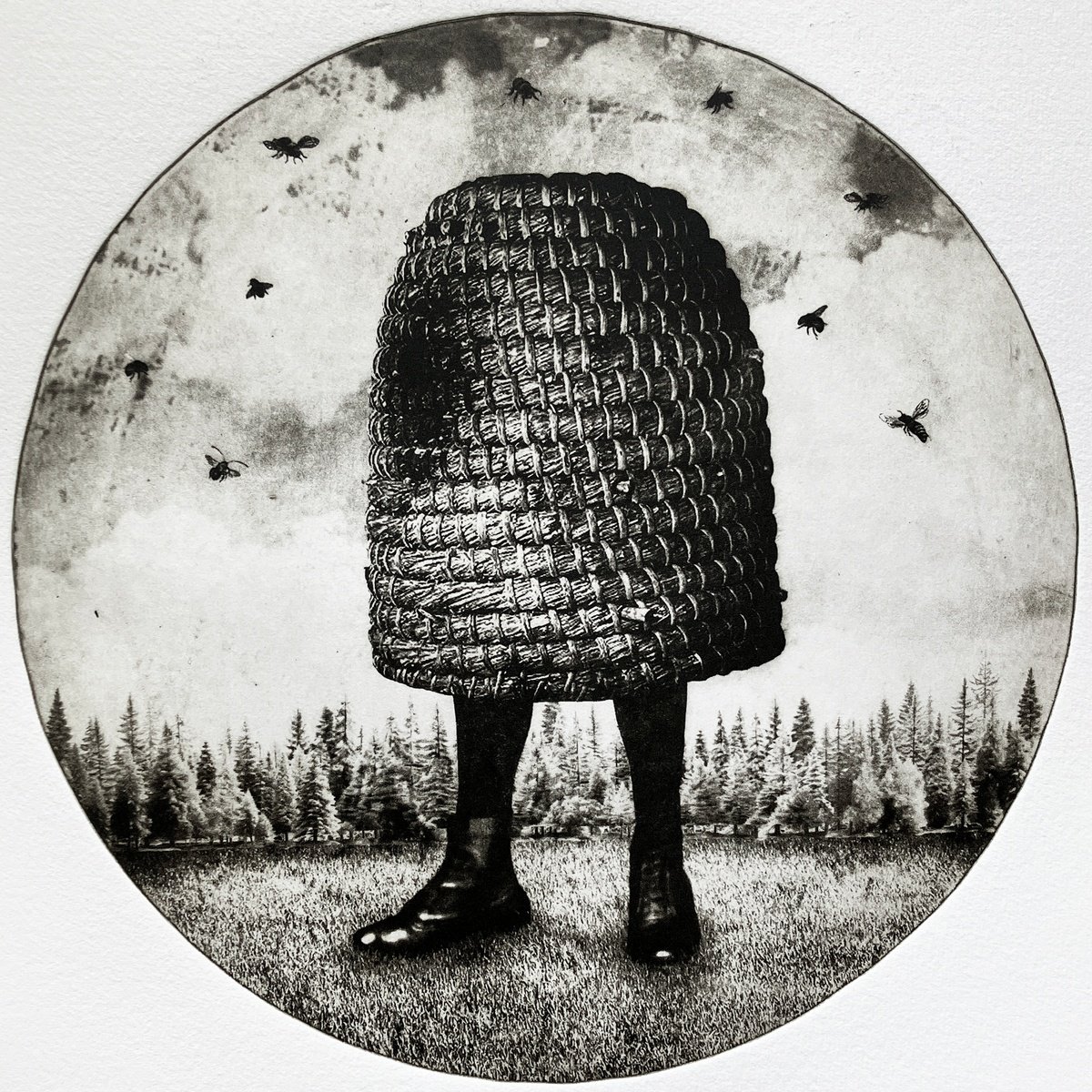 Surrealistic Animal Etchings & Engravings By Jaco Putker, 15 X 16, Hive No.5, Original Artwork