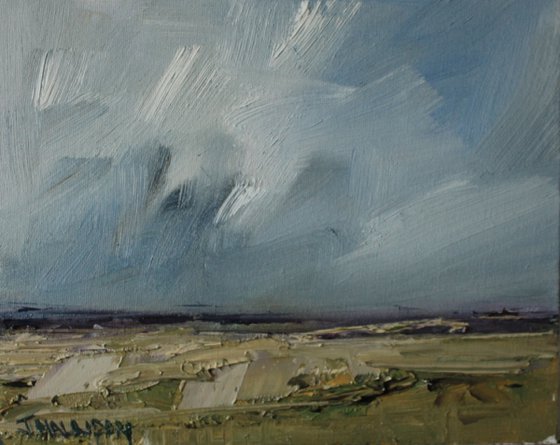 Spring Field