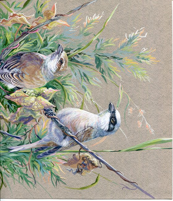 Original watercolor drawing bird "Red-backed Shrike"