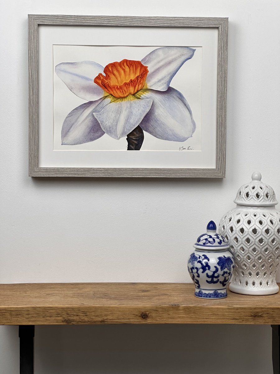 Photorealistic Botanical Watercolour By Irsa Ervin, 15 X 12, White Daffodil Painting, Original Artwork