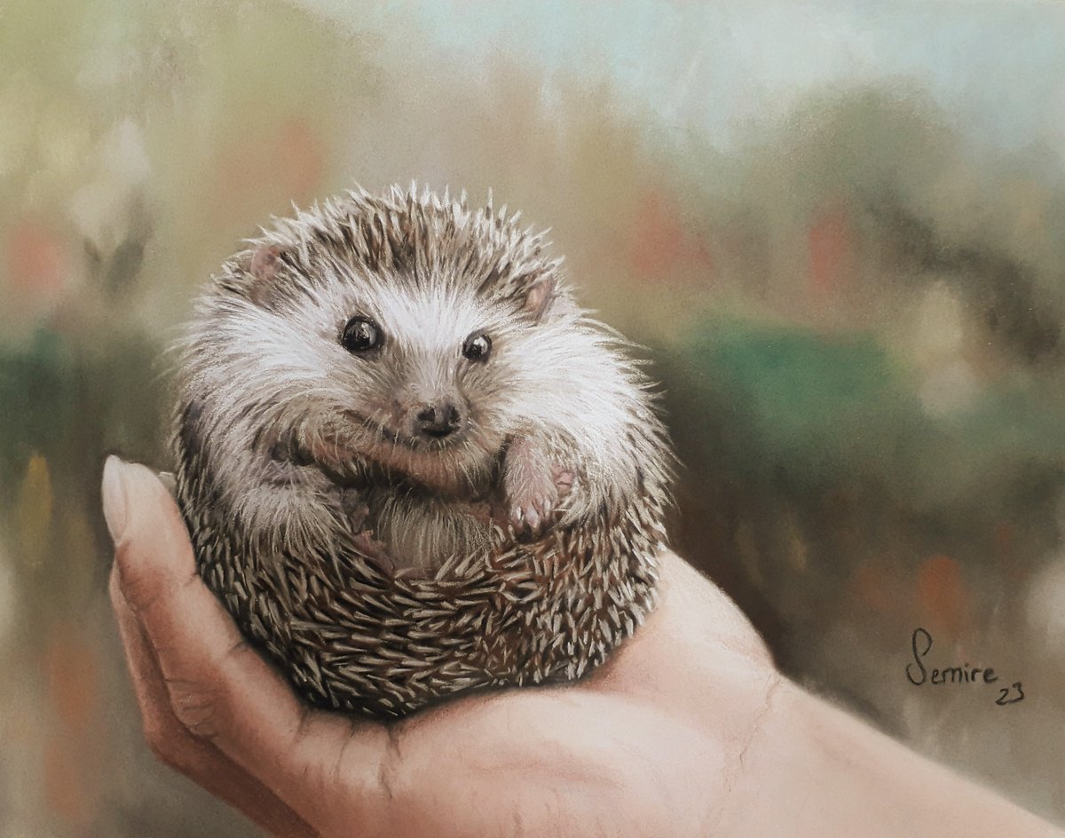 TINY HEDGEHOG by Semire Akyaz?