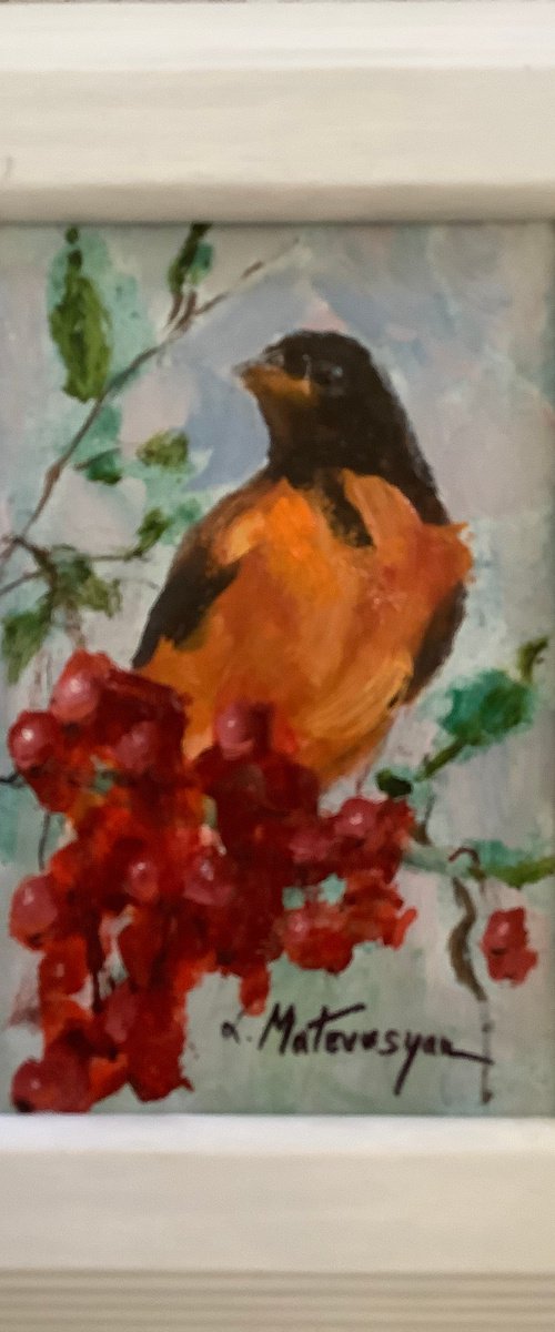 Oriole by Lia Matevosyan Haselton