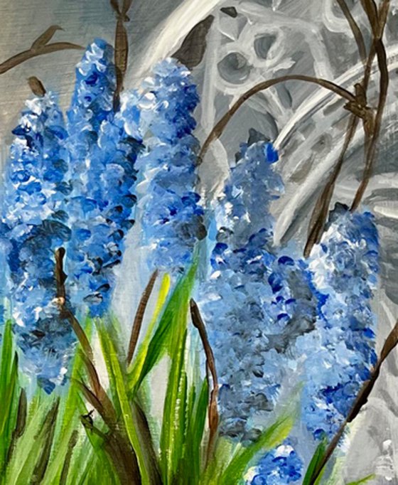 Muscari