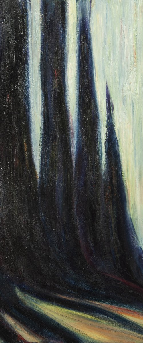 Chiaroscuro by VALDA ROSE ART GALLERY