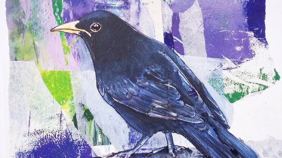 Blackbird collage - framed and ready to hang