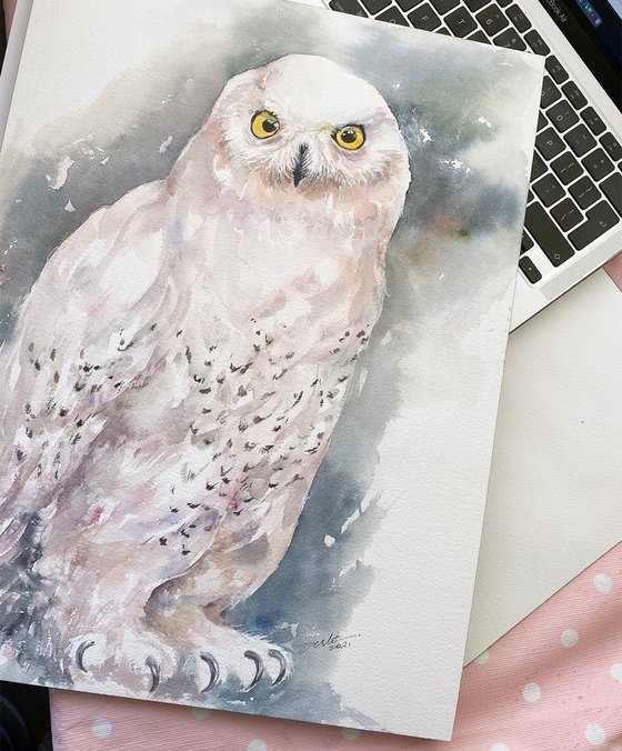 Snow Owl White Vida