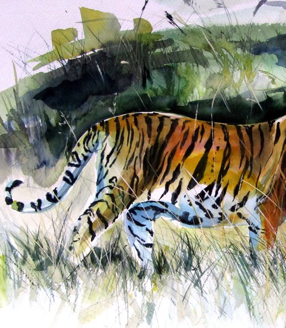 Collarwali Mataram III