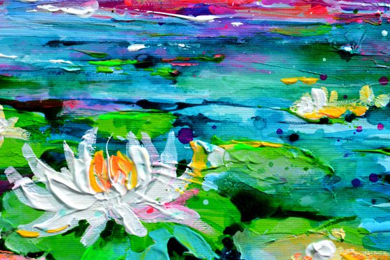 Water Lilies on the Pond