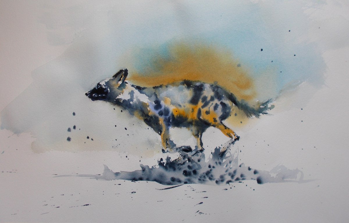 african wild dog by Giorgio Gosti