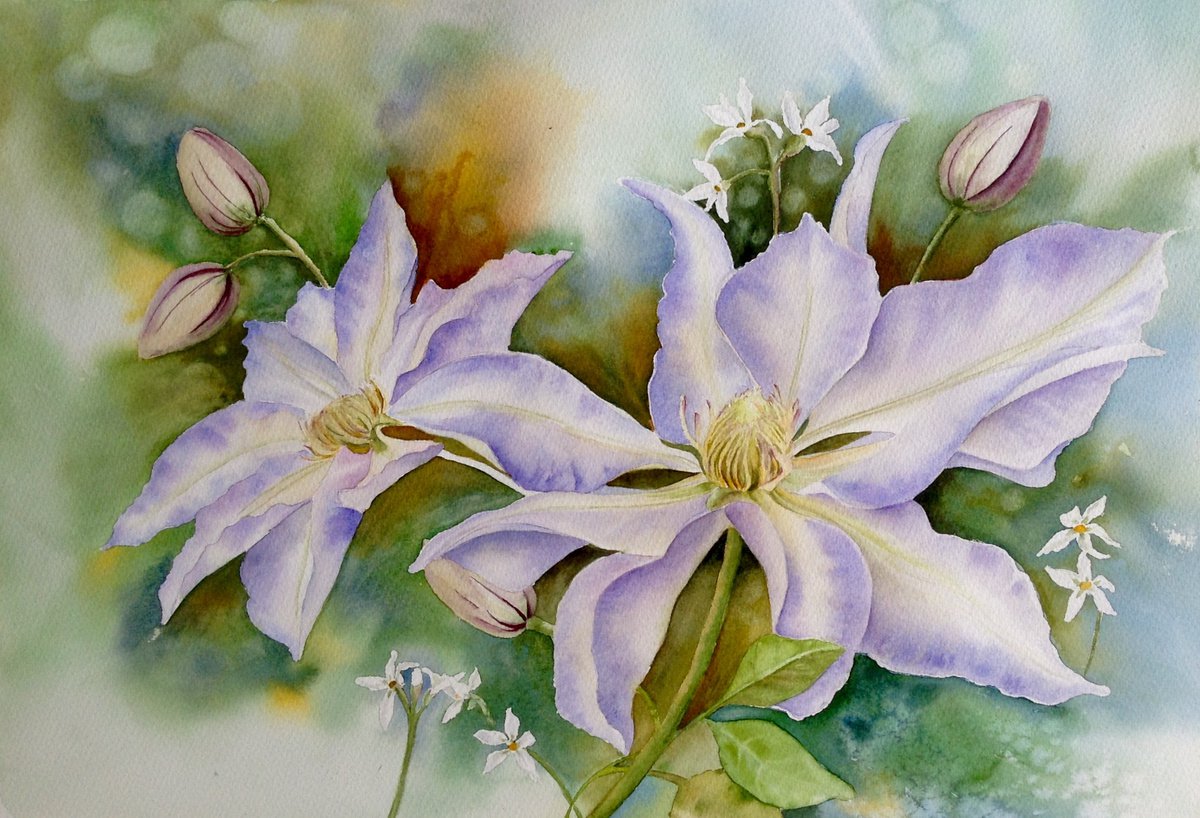 Lilac Clematis by Carol Staines