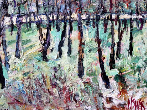 Trees by the Shore