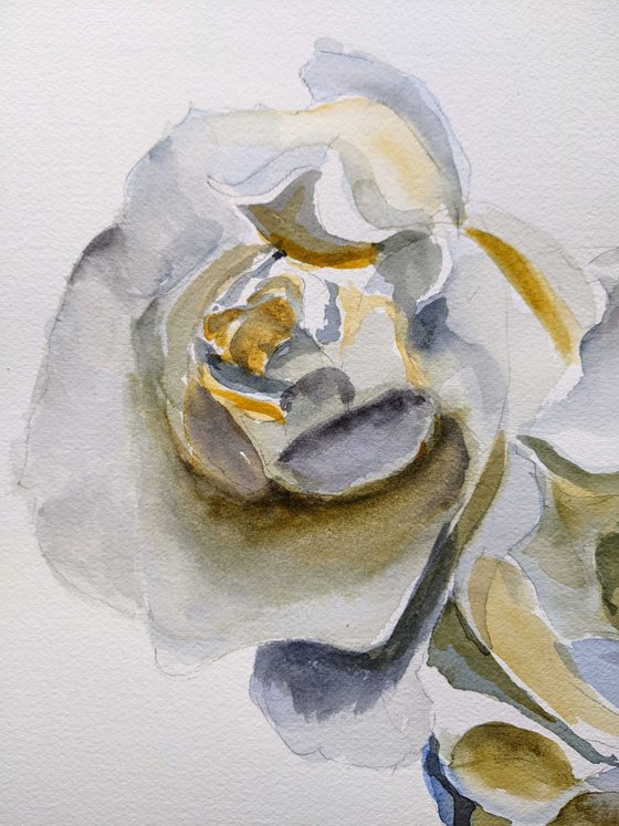 White rose painting Love Art purity happiness impressionism watercolors Roses Gift idea Wall Art White flower