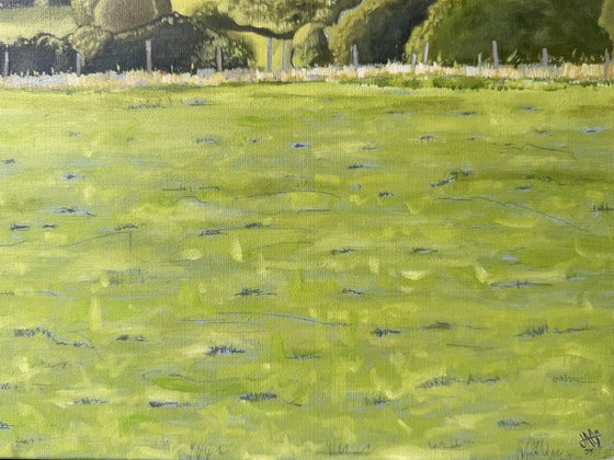 Suffolk Summer Landscape