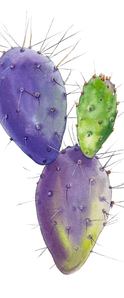 Opuntia. A series of original watercolour artwork. by Nataliia Kupchyk