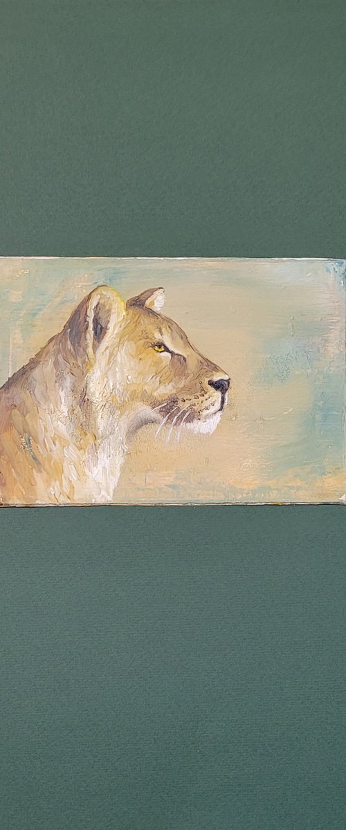 Lioness by Lisa Braun