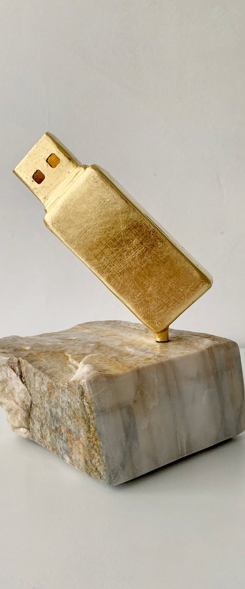 Gold USB Flash by Iryna Antoniuk