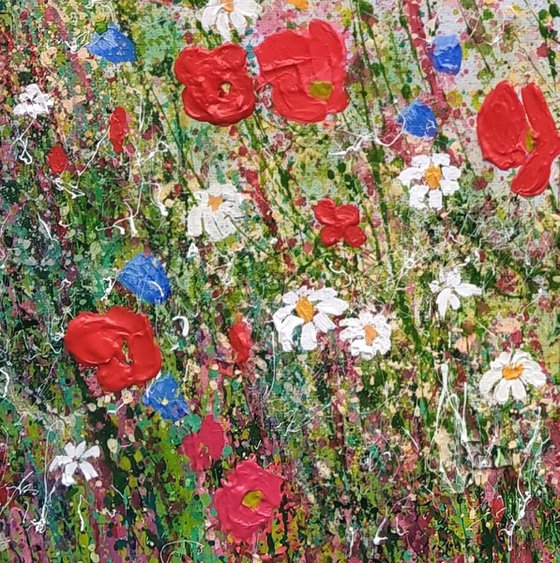 Petals Poppies and Wildflowers