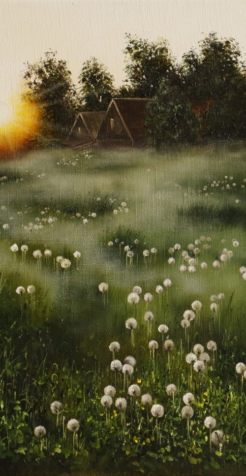 Dandelion Meadow at Sunrise by Natalia Shaykina