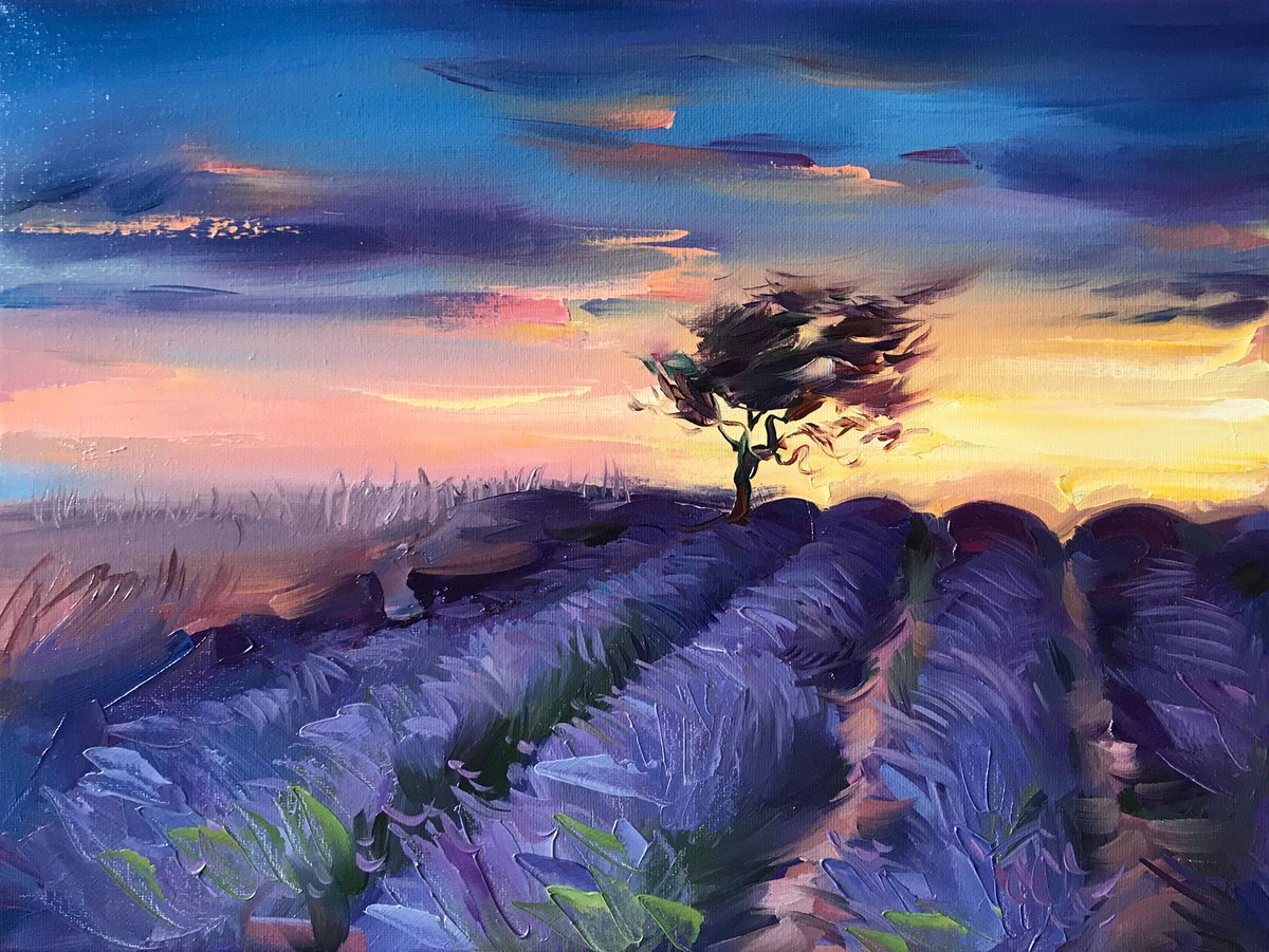 Evening. lavender by Julia Borovaya