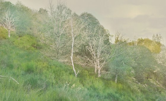 Landscape Greens
