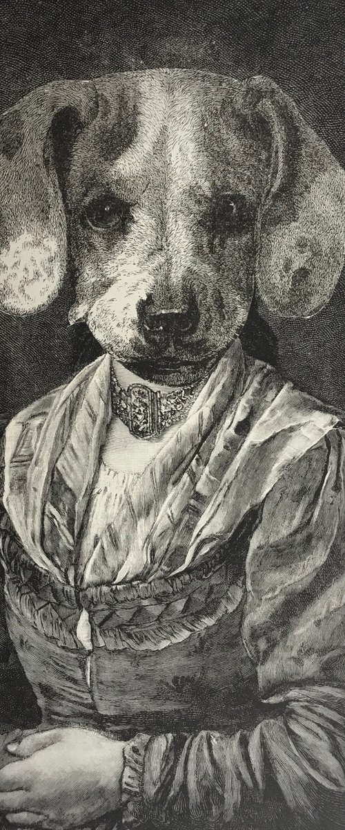 Hound Dog by Tudor Evans