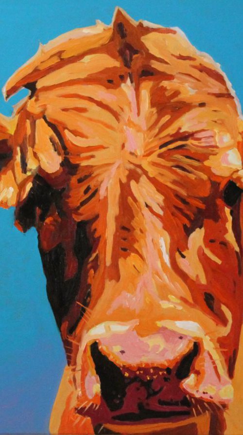 Tanny Heifer by Emma Cownie