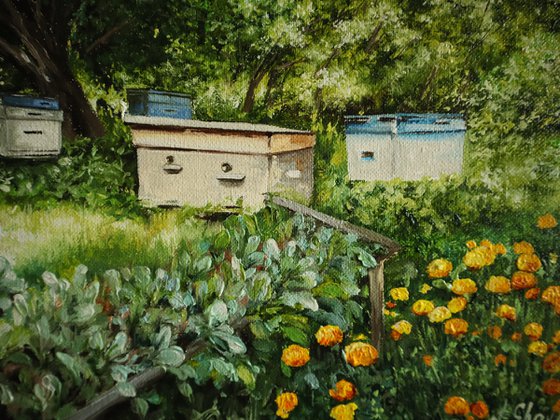 Backyard Bee Hives, Summer Orchard Scenery.