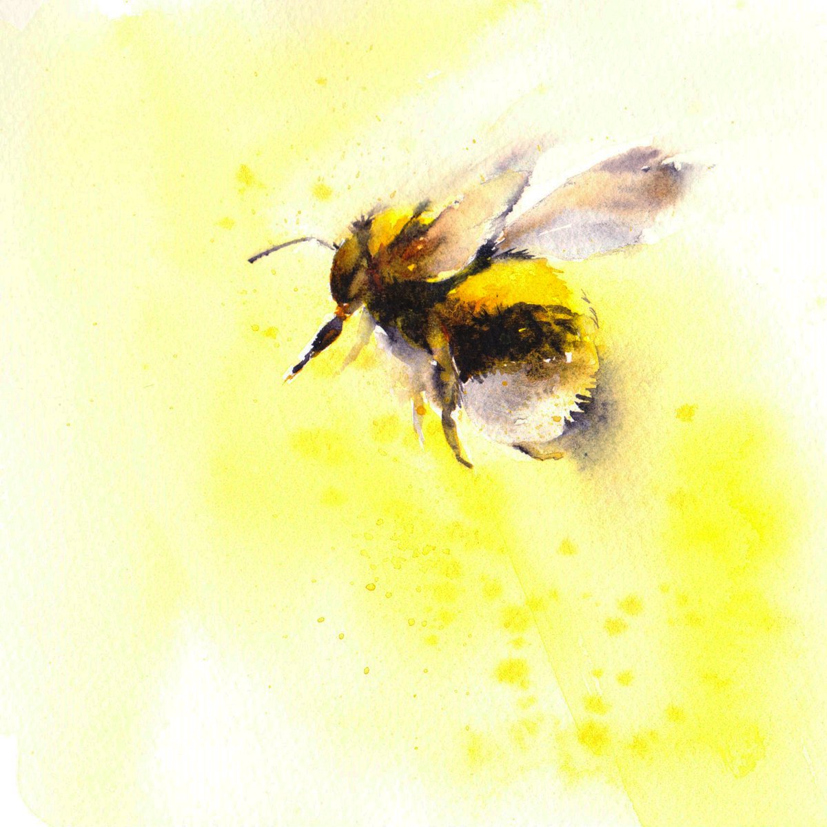 Bumble bee in golden mist II by Anjana Cawdell