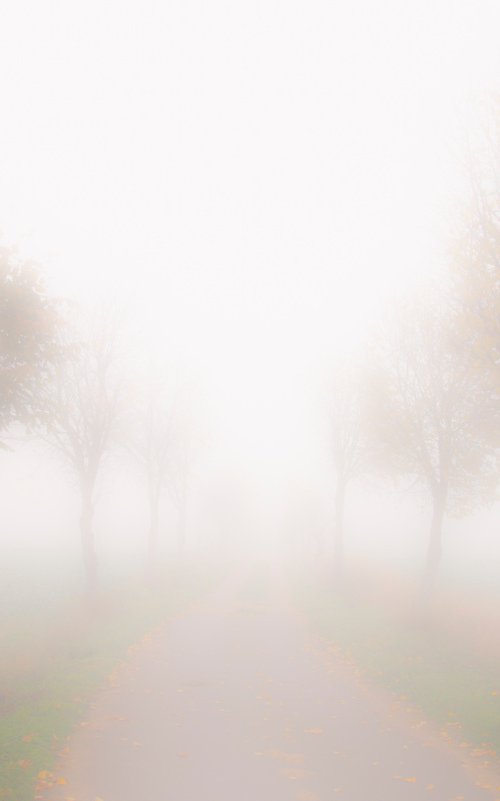 foggy landscape 1 by Jochim Lichtenberger