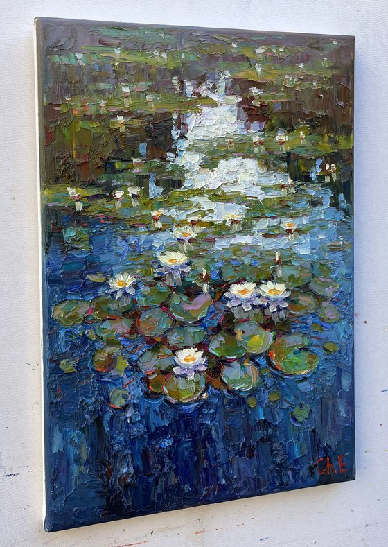 river with water lilies