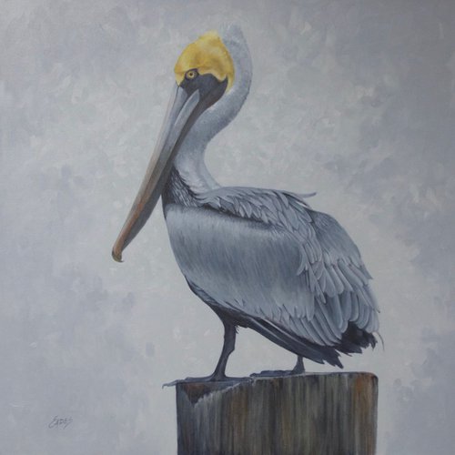 Pelican Mist by Linda Eades  Blackburn