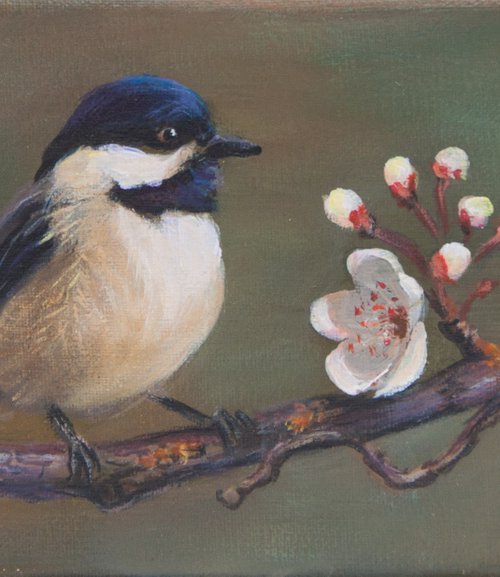 Chickadee by Norma Beatriz Zaro