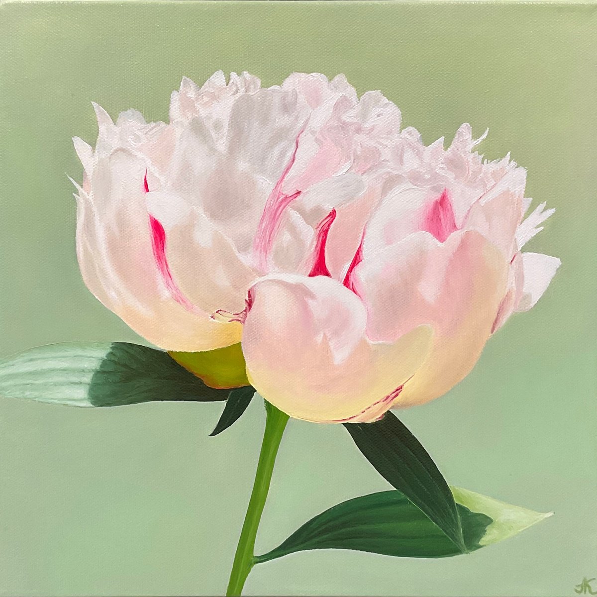 Photorealistic Oil Painting , White Peony By Alla Kallas, 12 X 12, Artwork For Sale On Artfinder