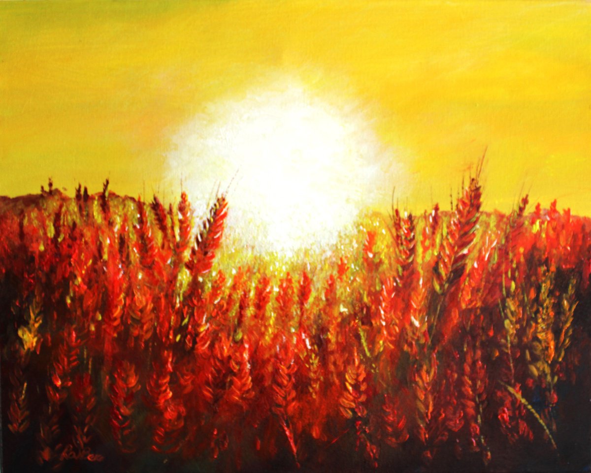 Harvest Sunrise by Rod Bere