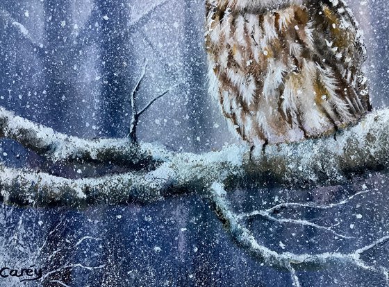 Tawny Owl Winter scene
