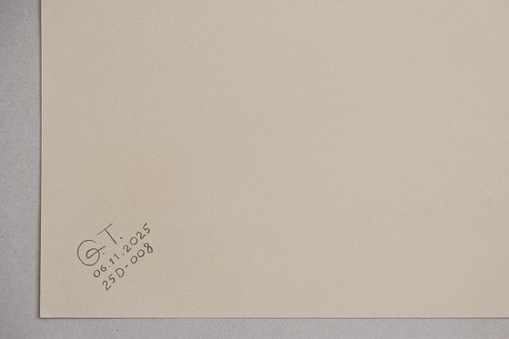 Duality. Impulsiveness - Prudence