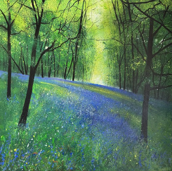 Woodland Bluebell View