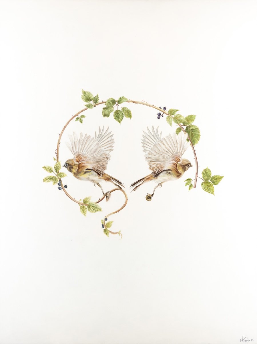 Illustrative Animal Oil Painting By Natalie Toplass, 36 X 48", Natural Wonders, Original Artwork