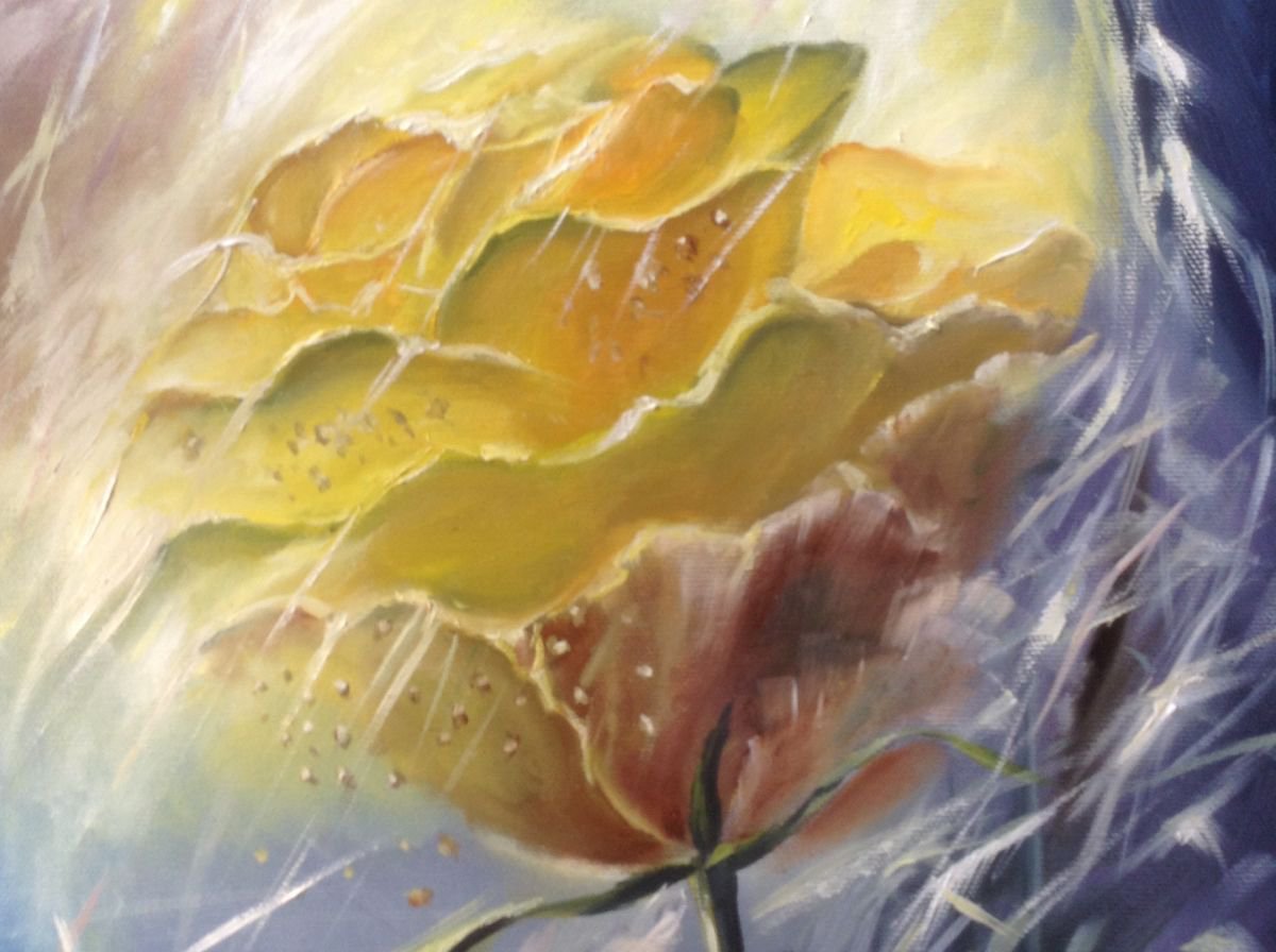 yellow rose by Nata New
